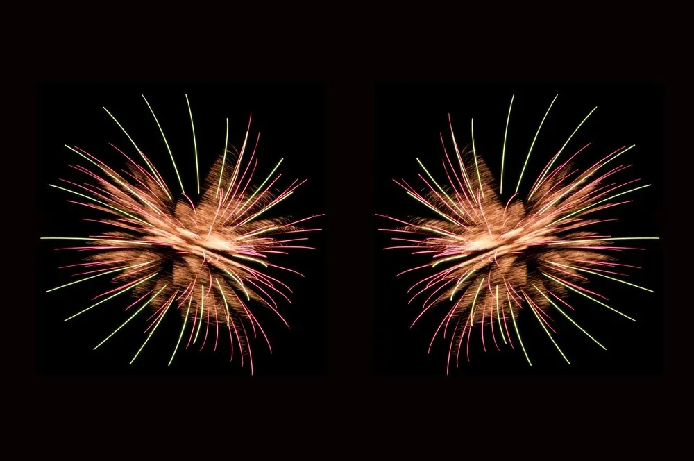 The Importance of Reproducibility