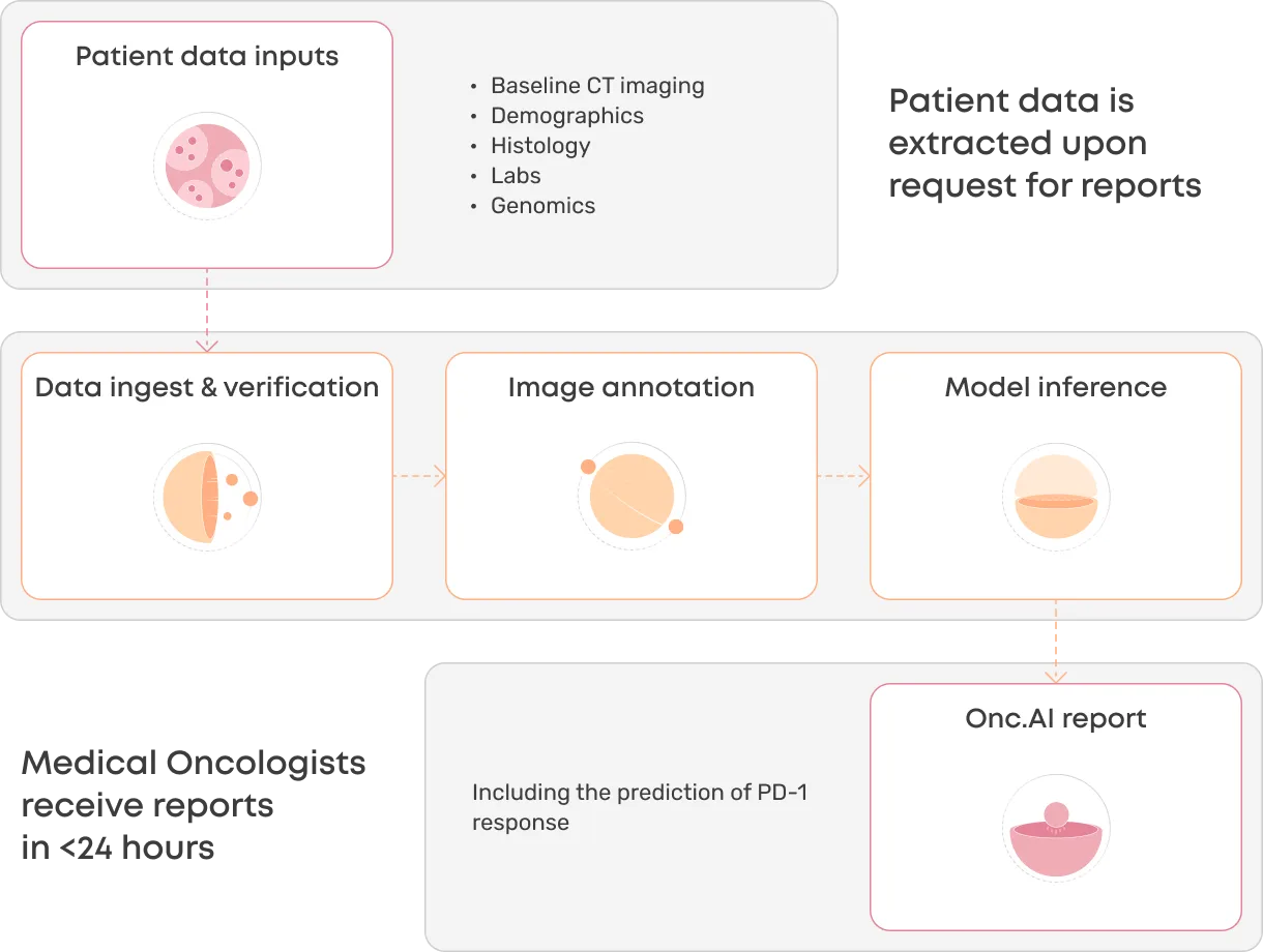 How Onc.AI serves predictions via its applications.
