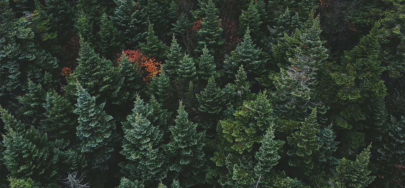 Smart-forestry solutions for optimizing the resource efficiency in wood-based supply chains.