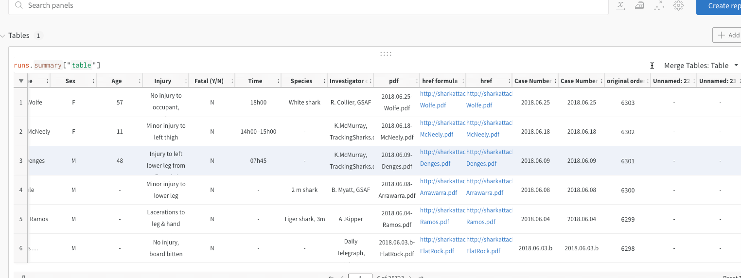 Weights and Biases Data Table